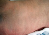 thumb_1_CARTA_DIRECTOR